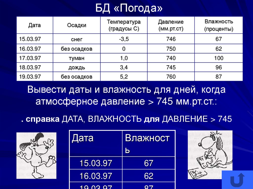 База данных класса информатика. База данных 8 класс. Базы данных по информатике. Базы данных Информатика 8 класс. Таблица базы данных по информатике.