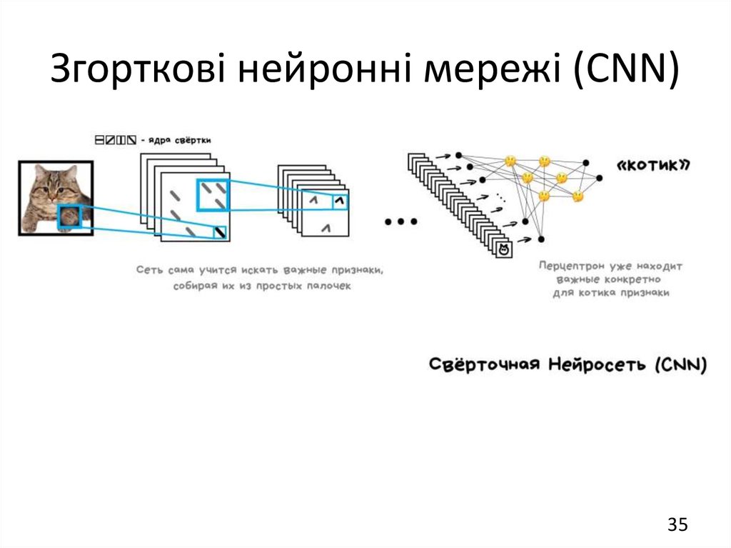 Згорткові нейронні мережі (CNN)