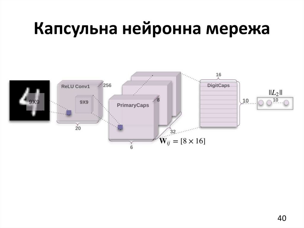 Капсульна нейронна мережа