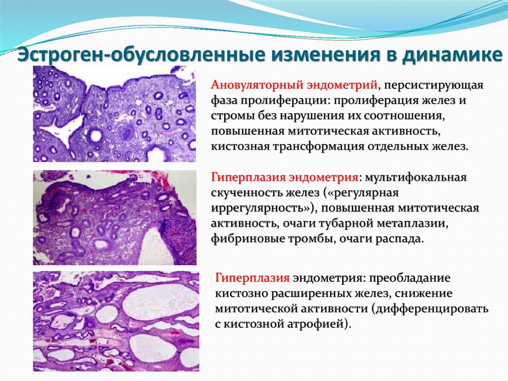 Изменение обусловлено