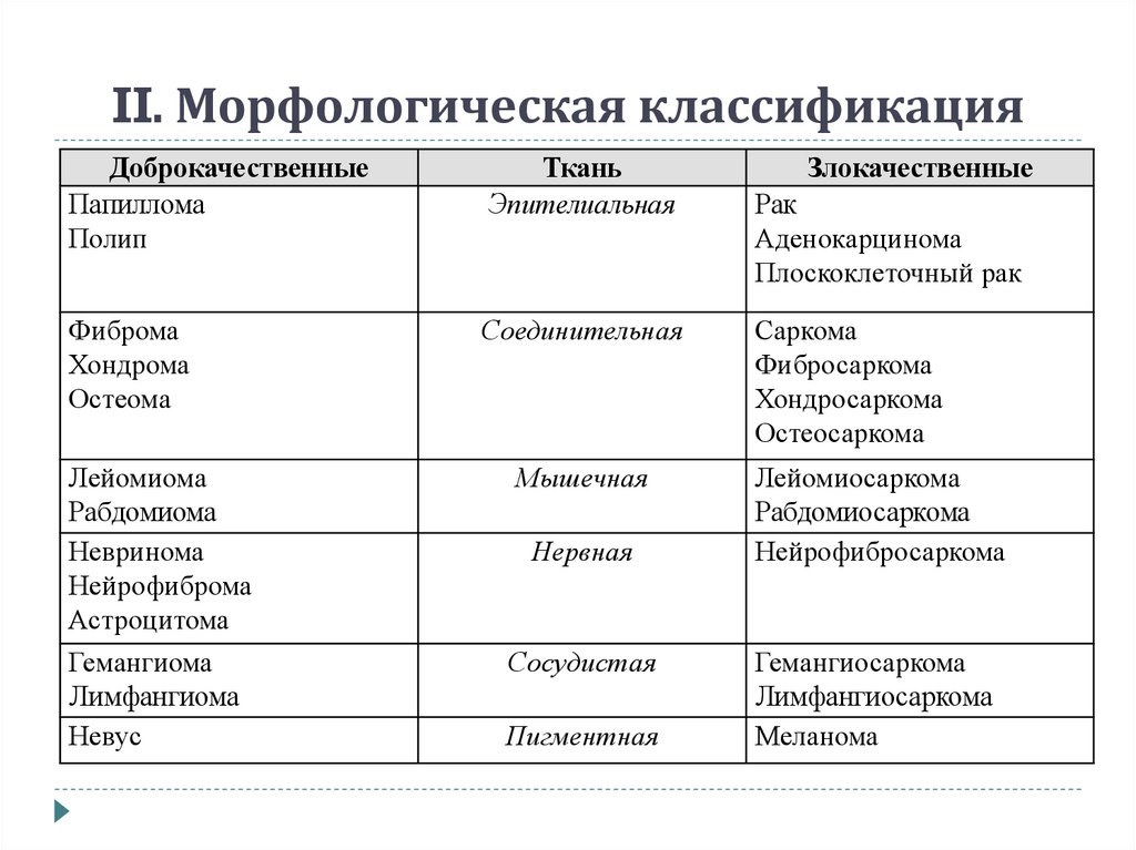 Морфологическая классификация