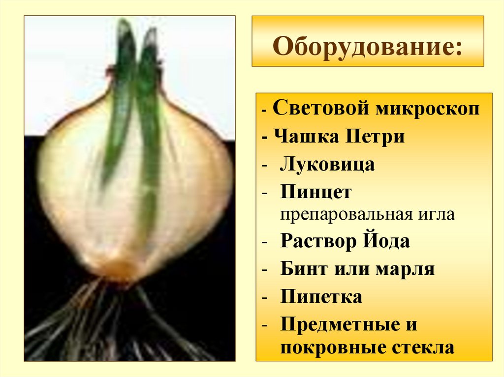 Оборудование: