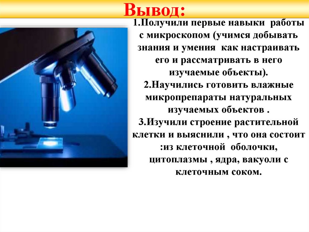 1.Получили первые навыки работы с микроскопом (учимся добывать знания и умения как настраивать его и рассматривать в него