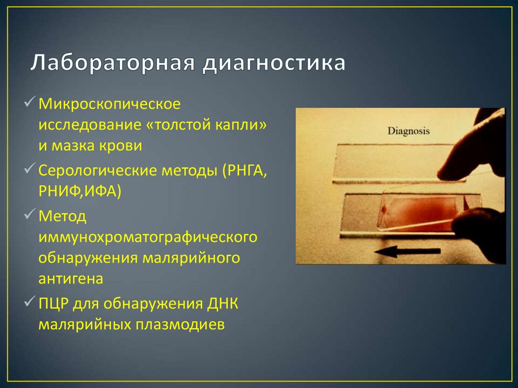 Исследование толстой. Микроскопическое исследование толстой капли крови. Микроскопическое исследование толстая капля. Метод толстой капли крови.