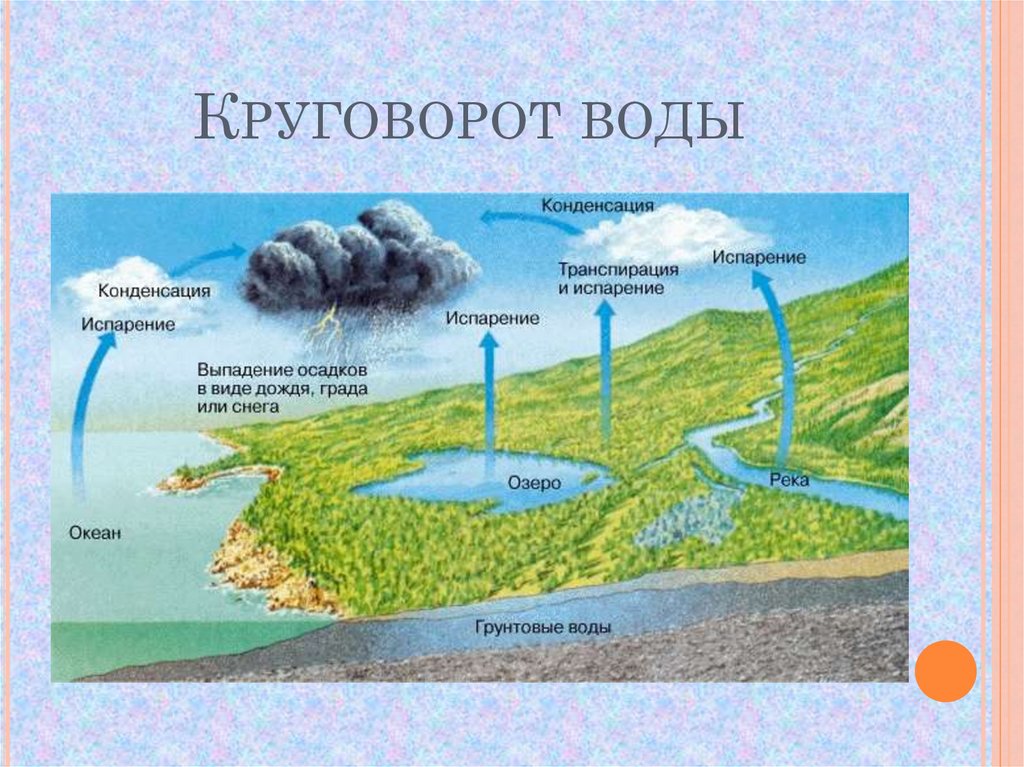 Круговорот воды в биосфере презентация