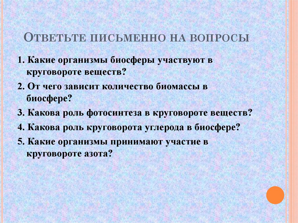 Ответьте письменно на вопросы
