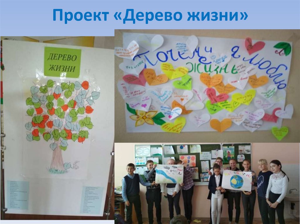 Проект «Дерево жизни»