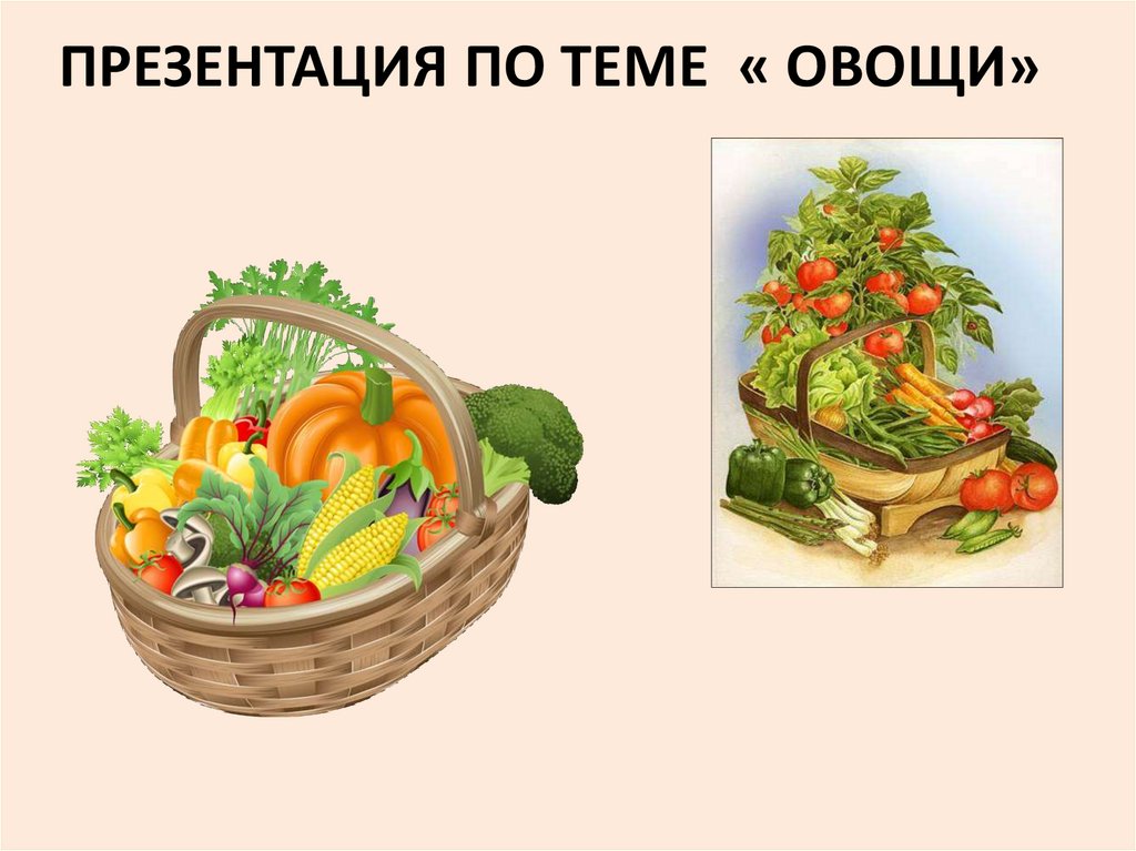 Презентация овощи. Овощи для презентации. Презентация на тему овощи. Презентация по теме овощи. Презентация для детей 5 лет на тему овощи.