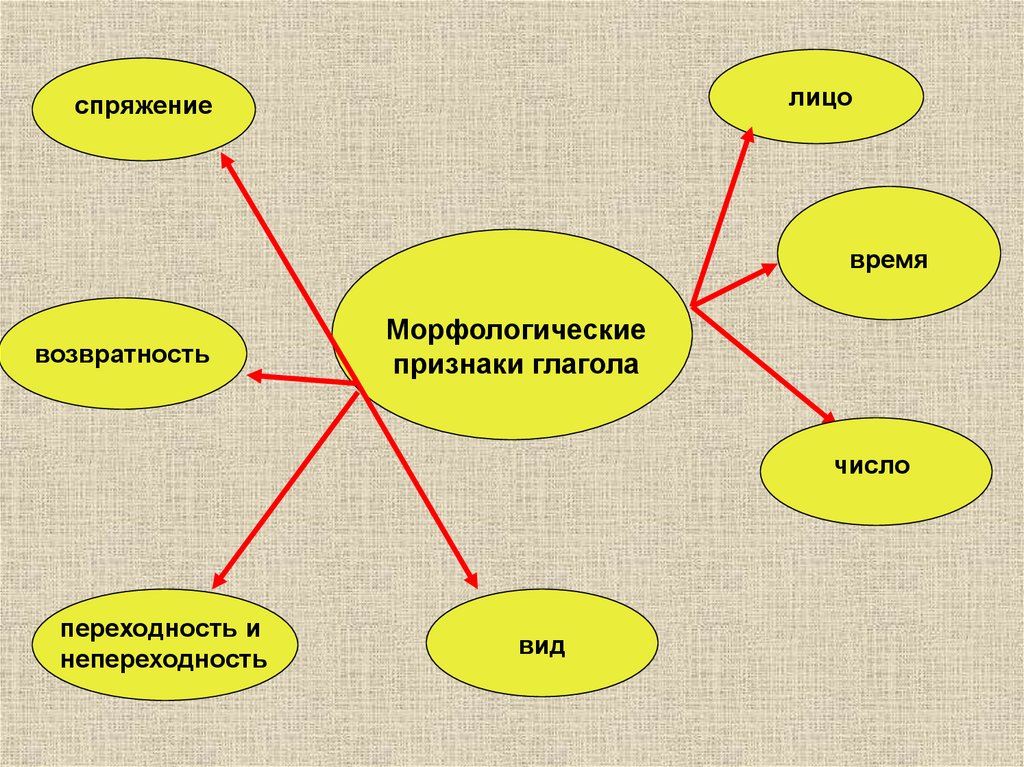 Презентация возвратные и невозвратные глаголы 6 класс