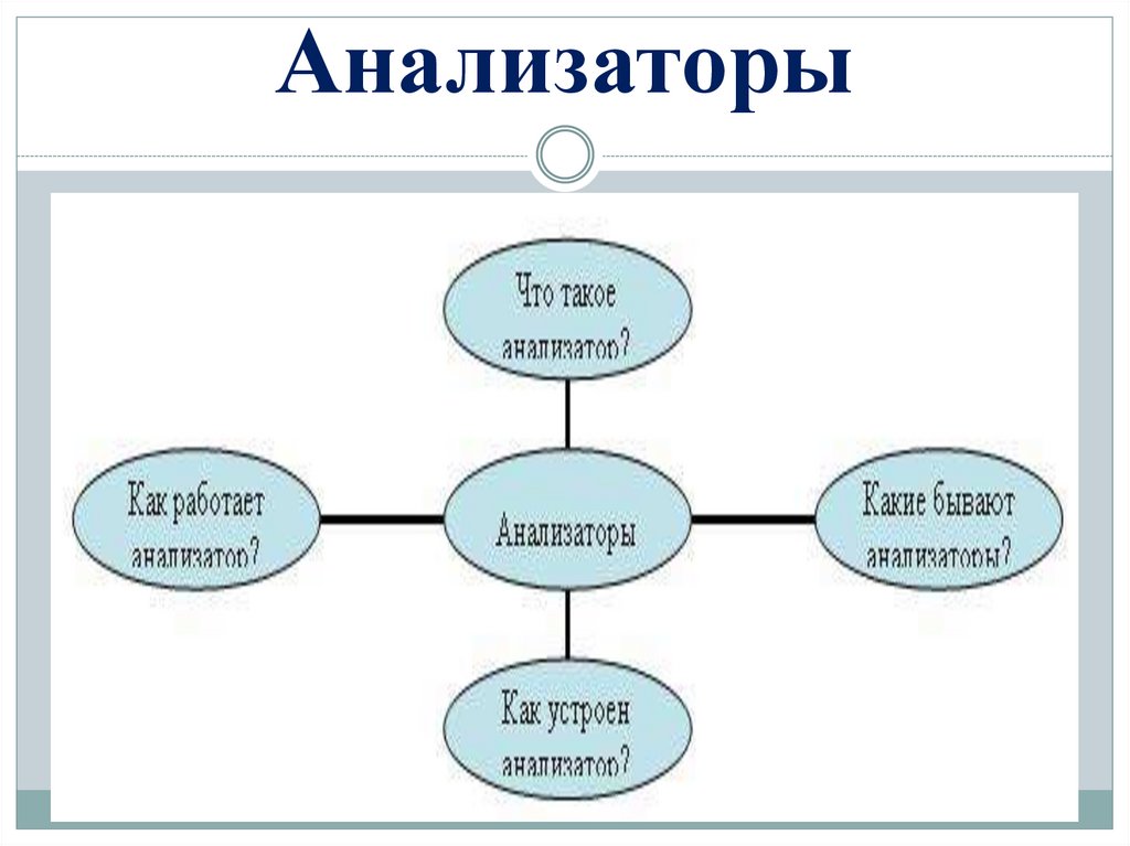 Презентация по теме анализаторы