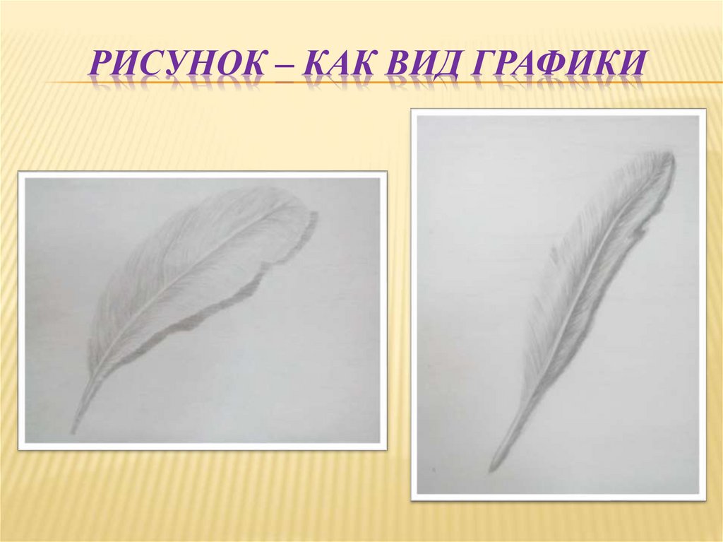 РиСунок – как вид графики