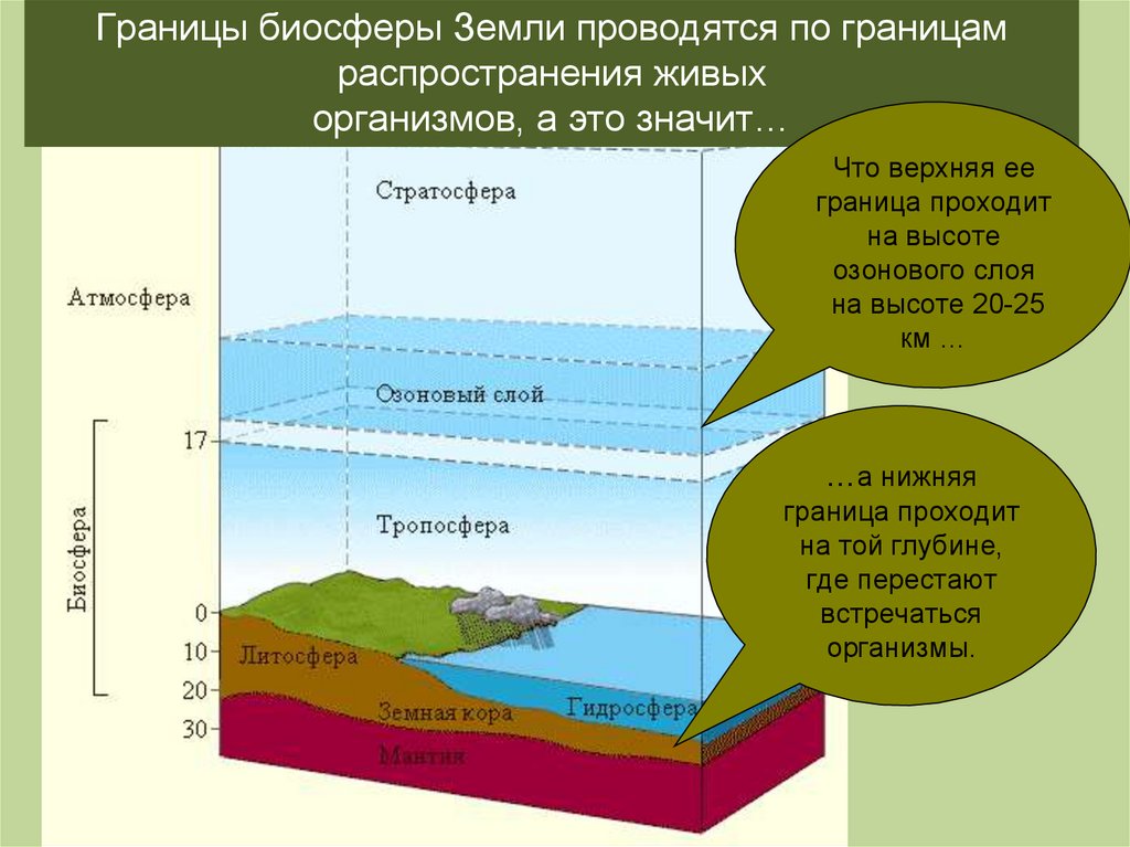 Распространение организмов. Границы биосферы. Биосфера границы биосферы. Распространение организмов на земле. Граница биосферы в почве.