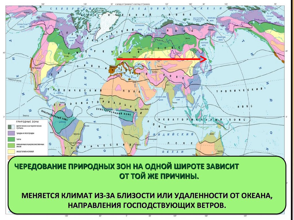 Районы распространения природных зон. Природные зоны земли 7 класс география карта.