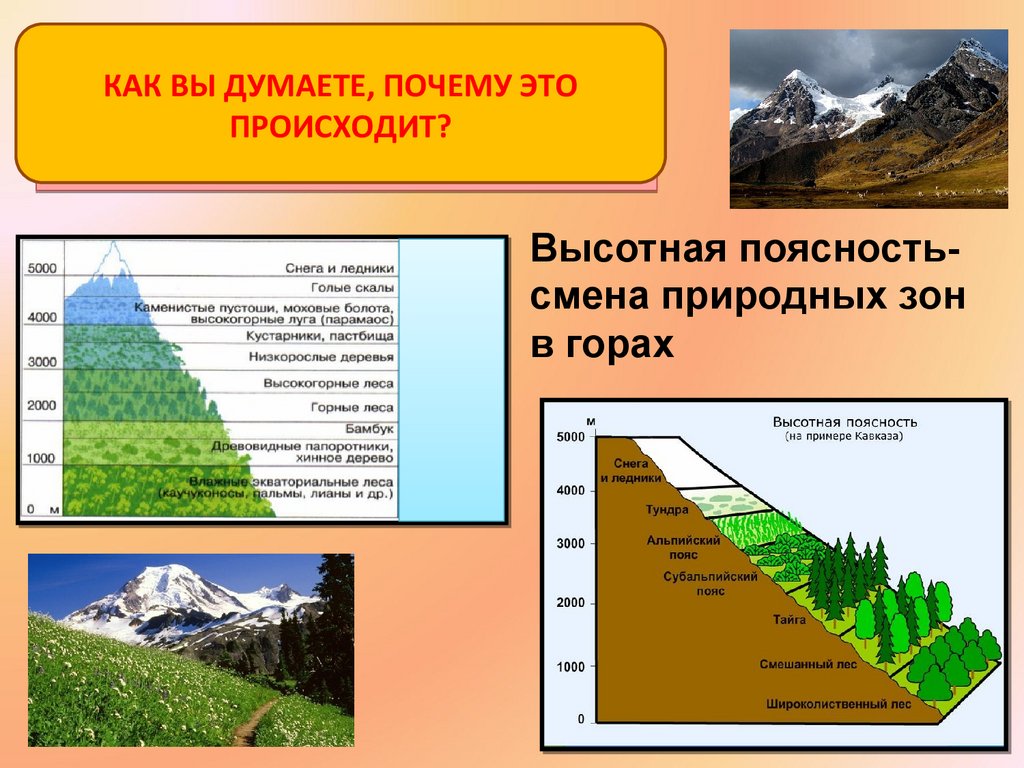 Почему происходит смена природных зон. Широтная поясность России. Природная зональность презентация. Что такое природная зональность в географии. Природная зональность 7 класс.