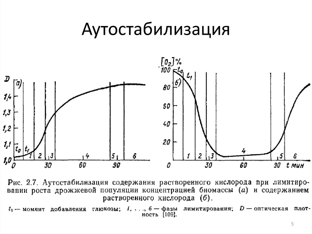 Аутостабилизация
