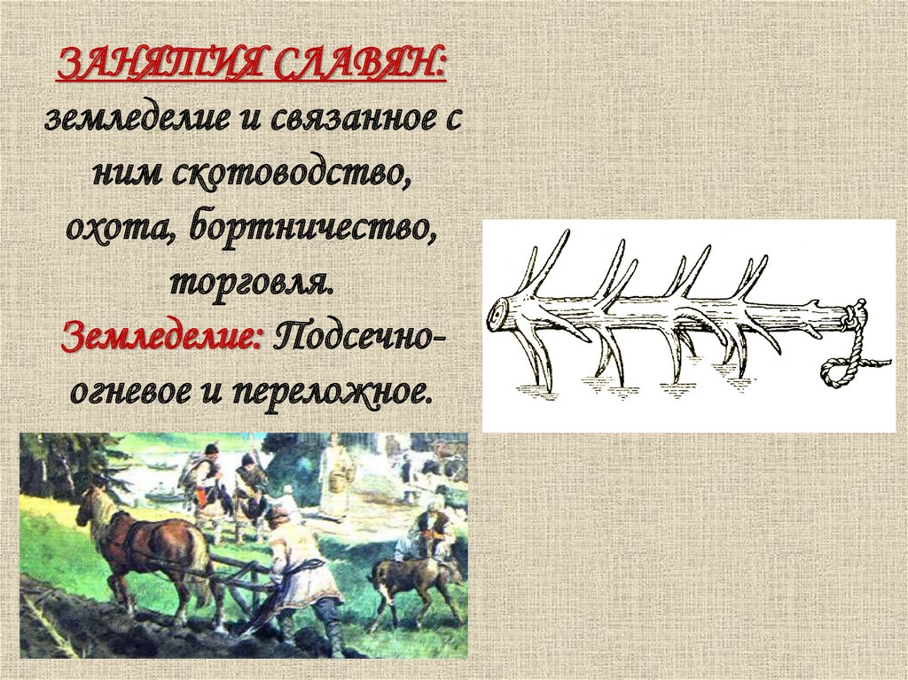 Занятия славян: земледелие и связанное с ним скотоводство, охота, бортничество, торговля. Земледелие: Подсечно-огневое и