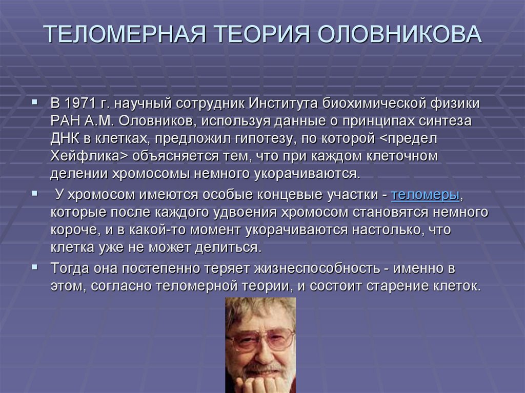 Теломерная теория старения презентация