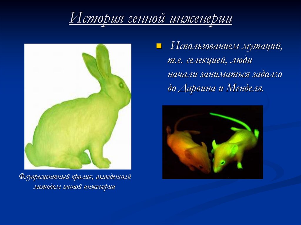 Открытие генной инженерии презентация