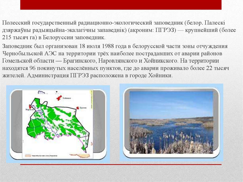 Презентация полесский заповедник