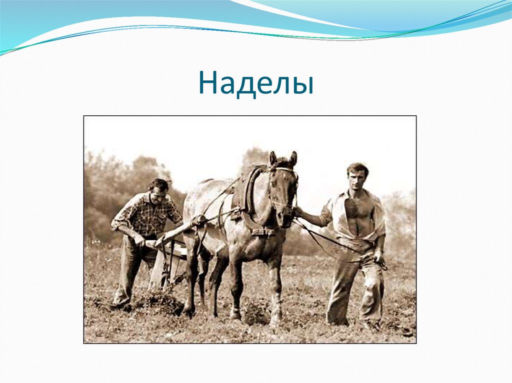 Наделы это. Крестьянские наделы. Надел. Земельный надел. Надел картинка.