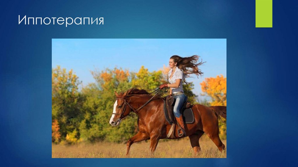 Иппотерапия
