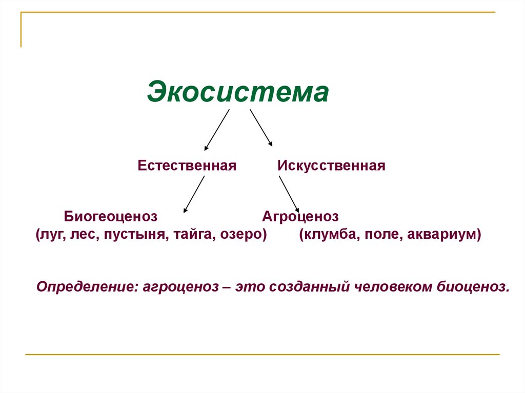 Естественные и искусственные условия