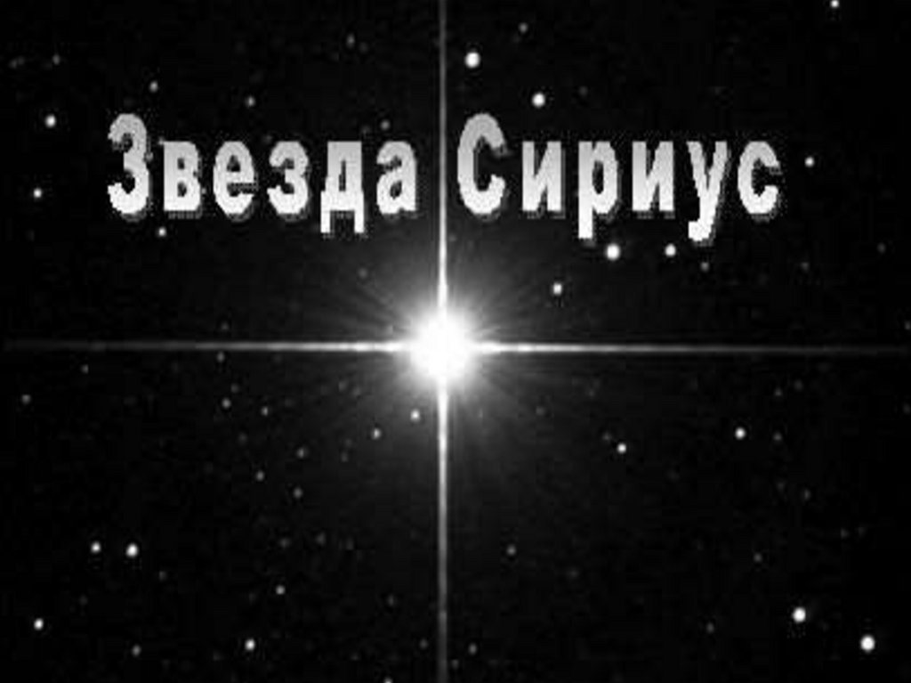 Сириус презентация. Сириус звезда. Спасибо за внимание с звездой Сириус. Сириус презентация 11 класса астрономия.