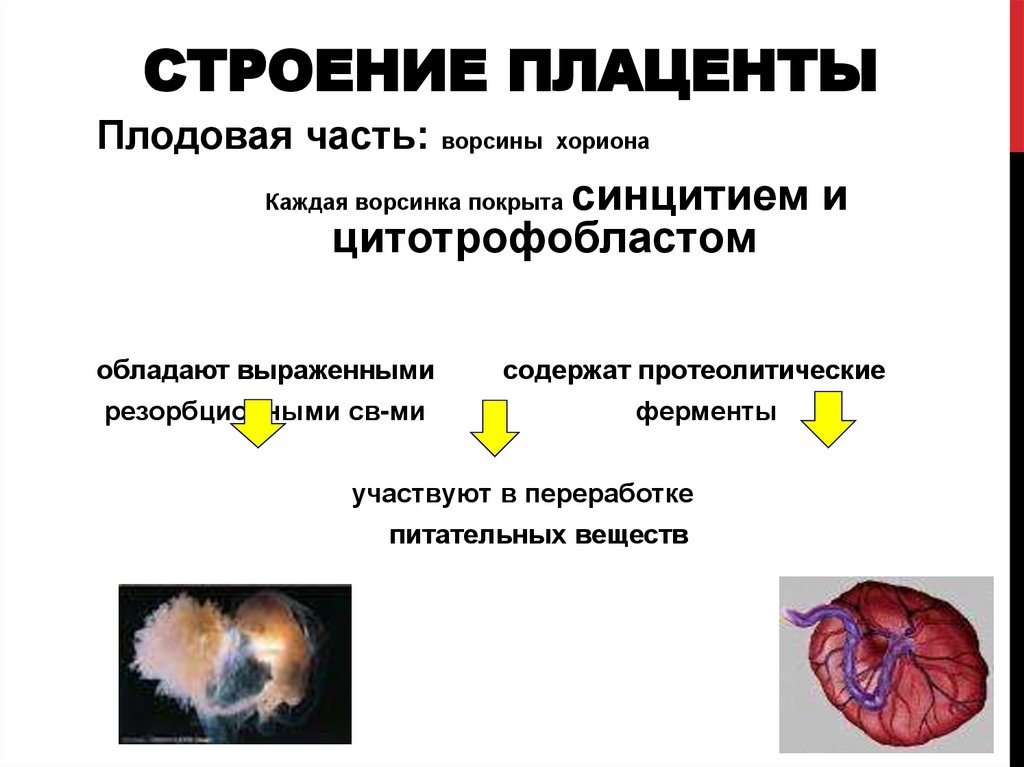 Плацентарная недостаточность это