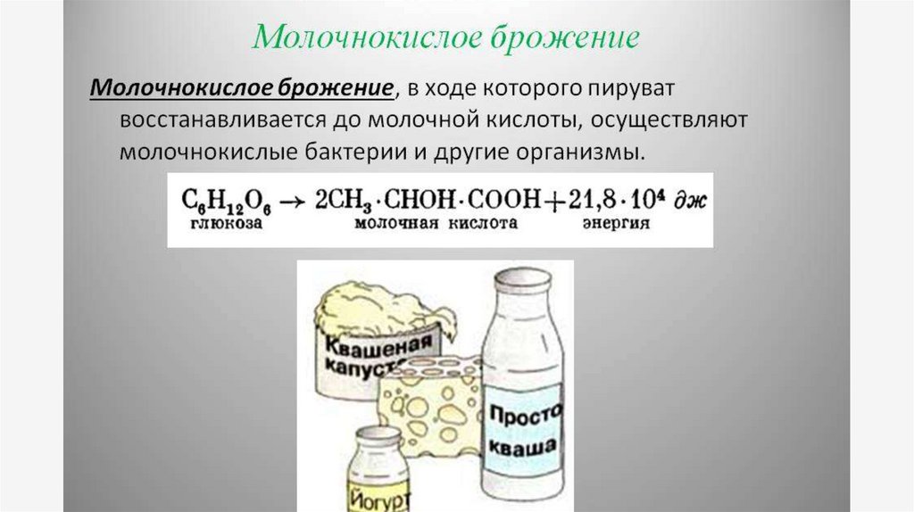 Дрожжи используются человеком для производства кисломолочных. Химическая реакции.брожения молока. Процесс молочнокислого брожения формула. Типы молочный кислый брожения. Молочнокислое брожение продукты реакции.