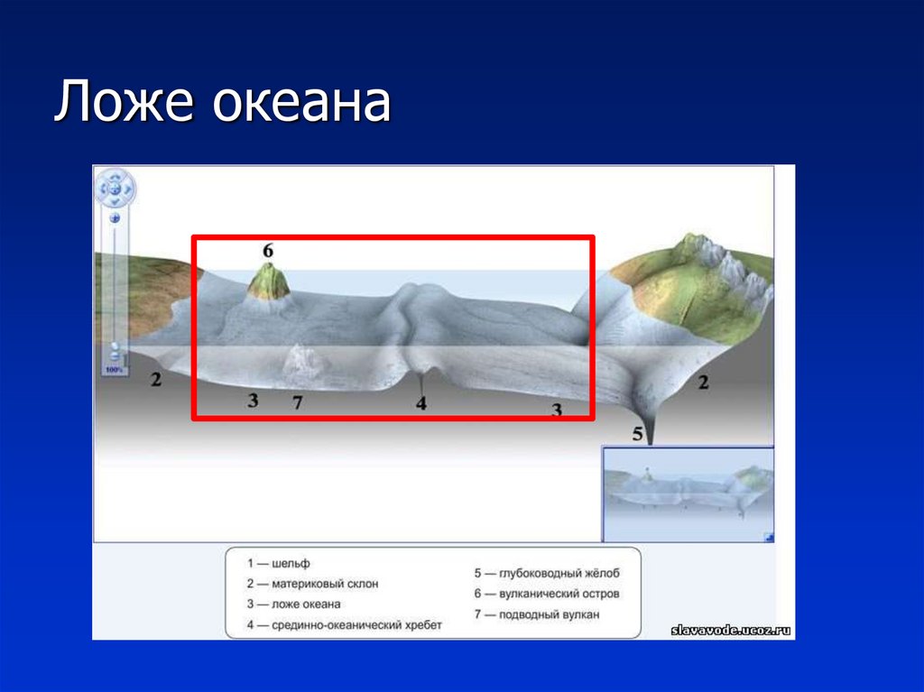 Какой цифрой на рисунке обозначено ложе океана