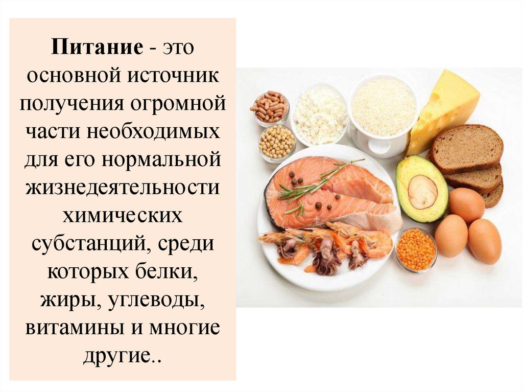 Питание это. Питание. Пища в жизнедеятельности человека. Пища это источник. Значение питания в жизнедеятельности организма.