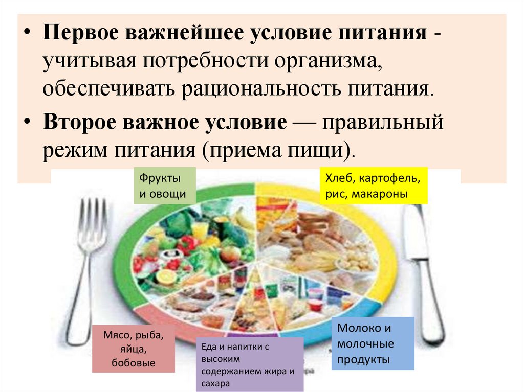 Условия питания. Рациональный режим питания. Потребность в приеме пищи. Приемы пищи названия.