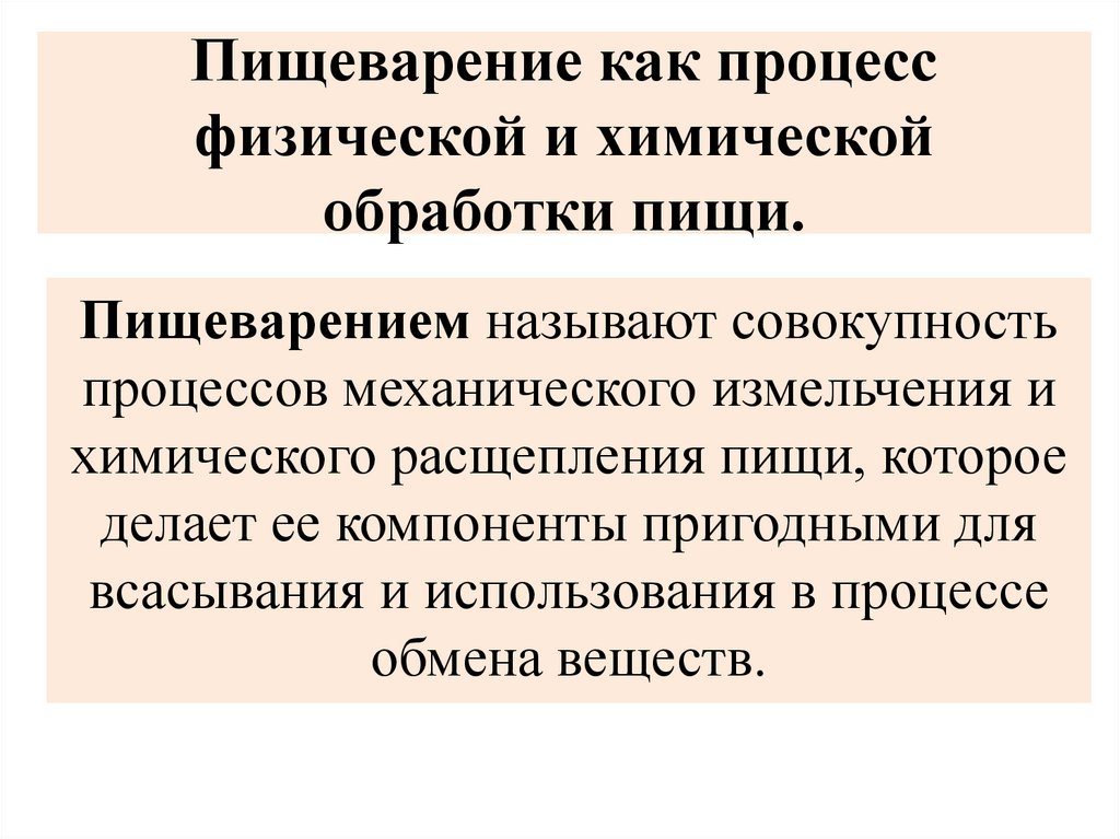 Физические процессы человека. Химическая и физическая обработка пищи. Химическая обработка пищи.