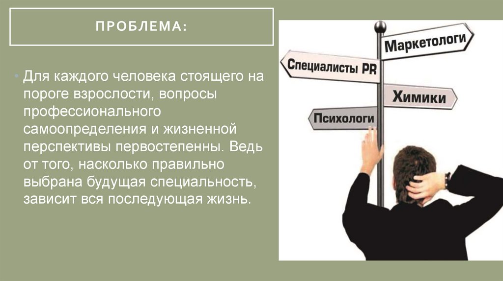 Мой профессиональный выбор готовый проект