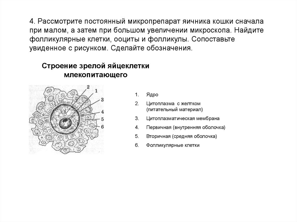 Рассмотрите рисунок на с 139 какие выводы можно сделать проанализировав этот материал