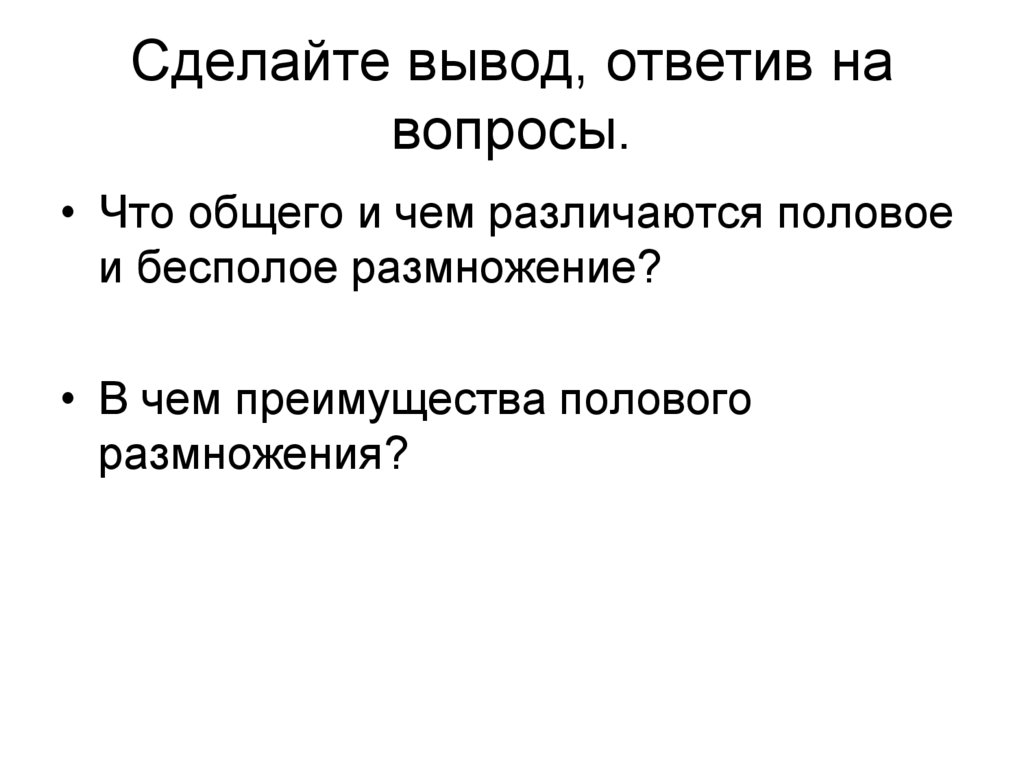 Сделайте вывод, ответив на вопросы.