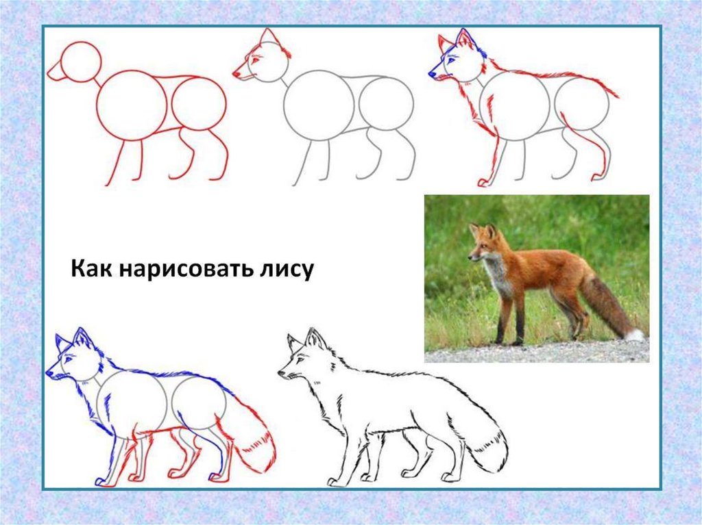 Как нарисовать лису карандашом. Лис нарисованный. Поэтапный рисунок лисы. Уроки рисования лисы. Рисунок лисы пошагово для детей.