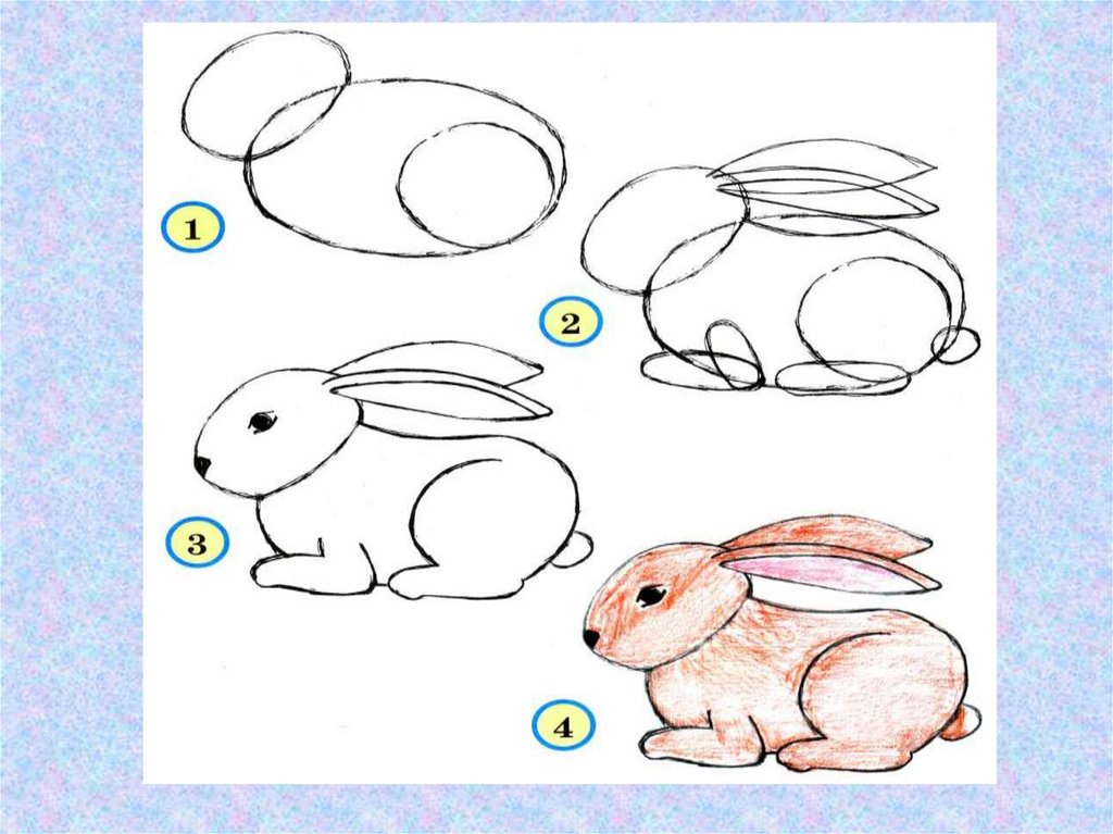 Конспект урока 1 класс 4 четверть. Рисование животных. Рисование животных для малышей. Рисование д ких животных. Рисование 2 класс.