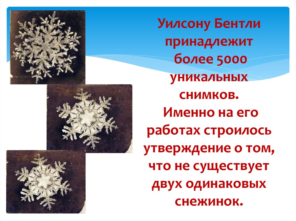 Уилсону Бентли принадлежит более 5000 уникальных снимков. Именно на его работах строилось утверждение о том, что не существует