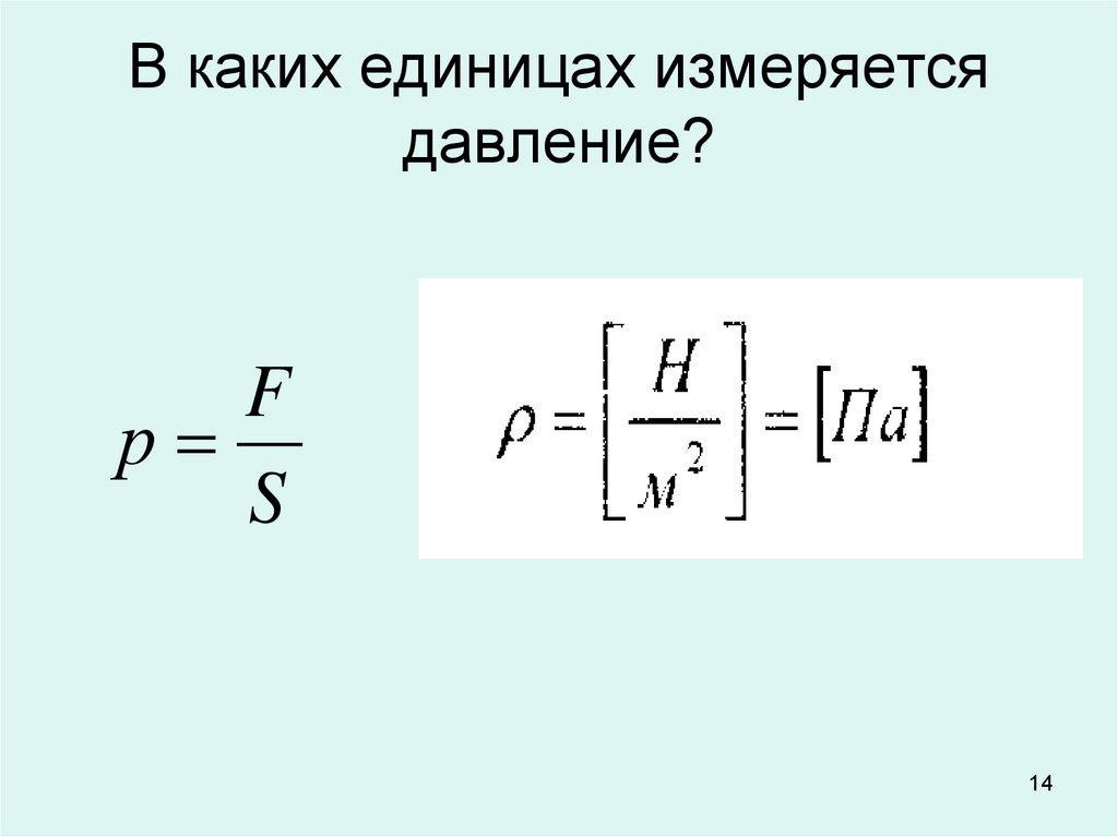 В каких единицах измеряется вес