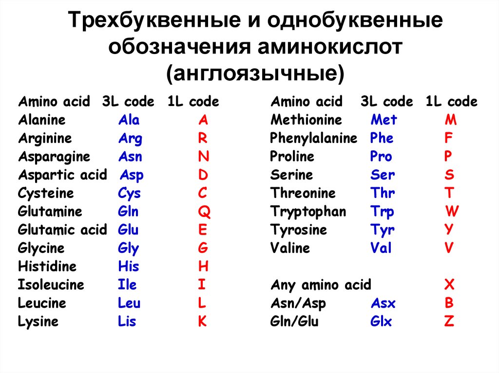 Трехбуквенные и однобуквенные обозначения аминокислот (англоязычные)