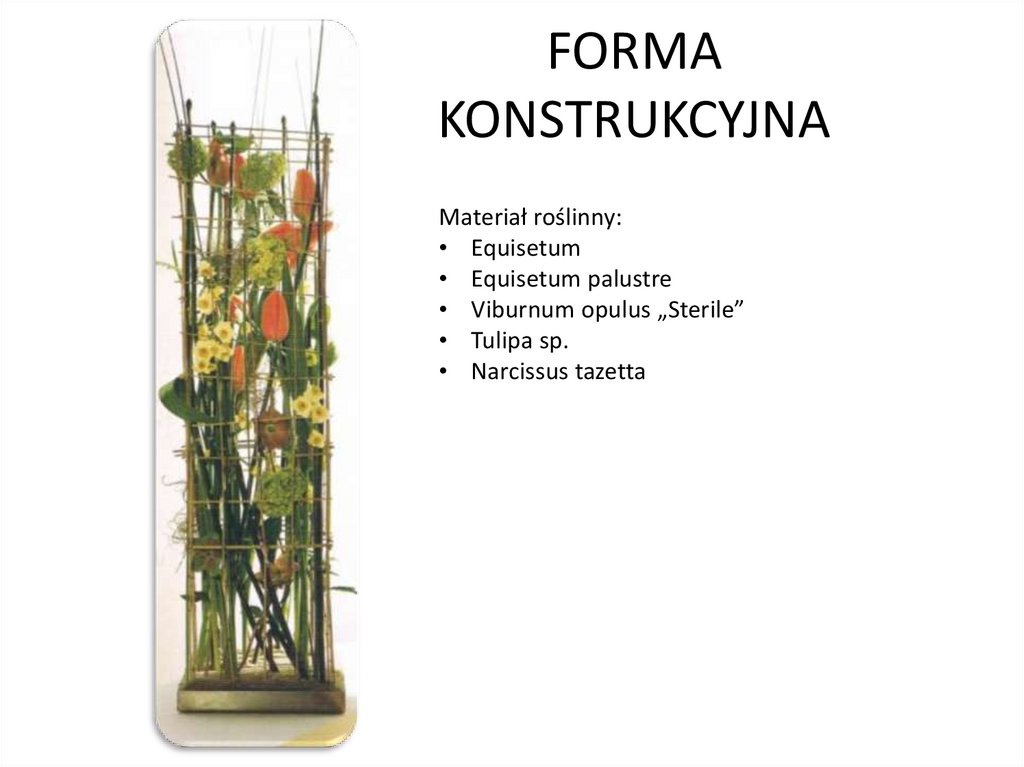 FORMA KONSTRUKCYJNA