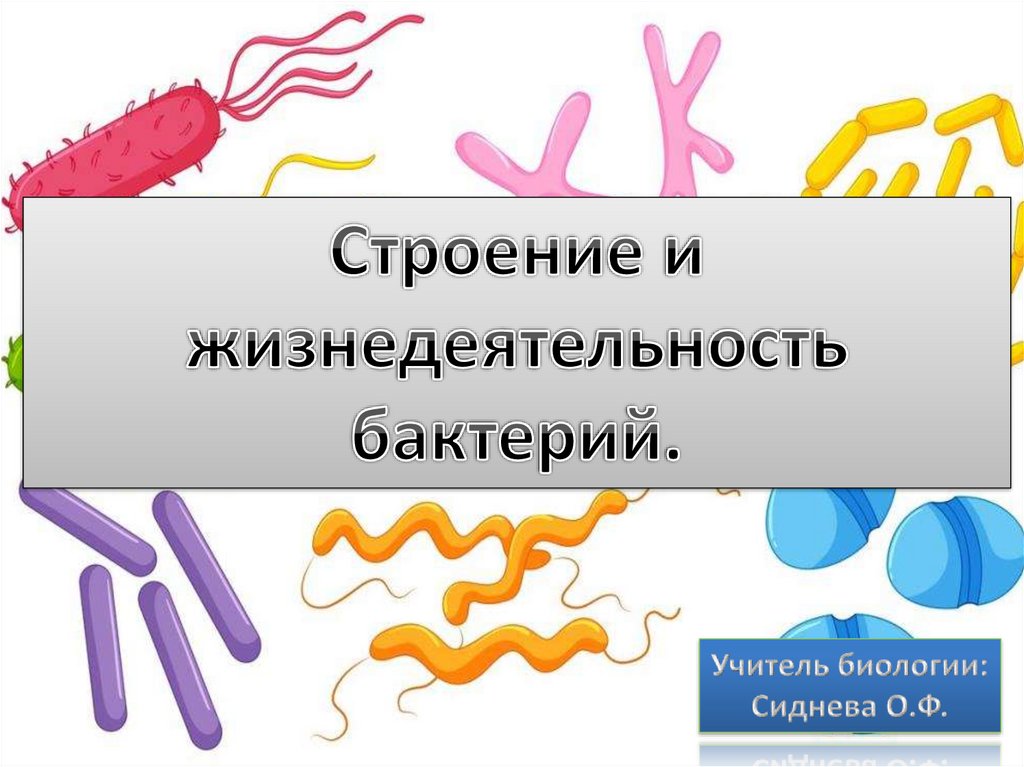 Жизнедеятельность бактерий 5. Строение и жизнедеятельность бактерий. Процессы жизнедеятельности бактерий. Строение и жизнедеятельность бактерий задания. Основные процессы жизнедеятельности бактерий.