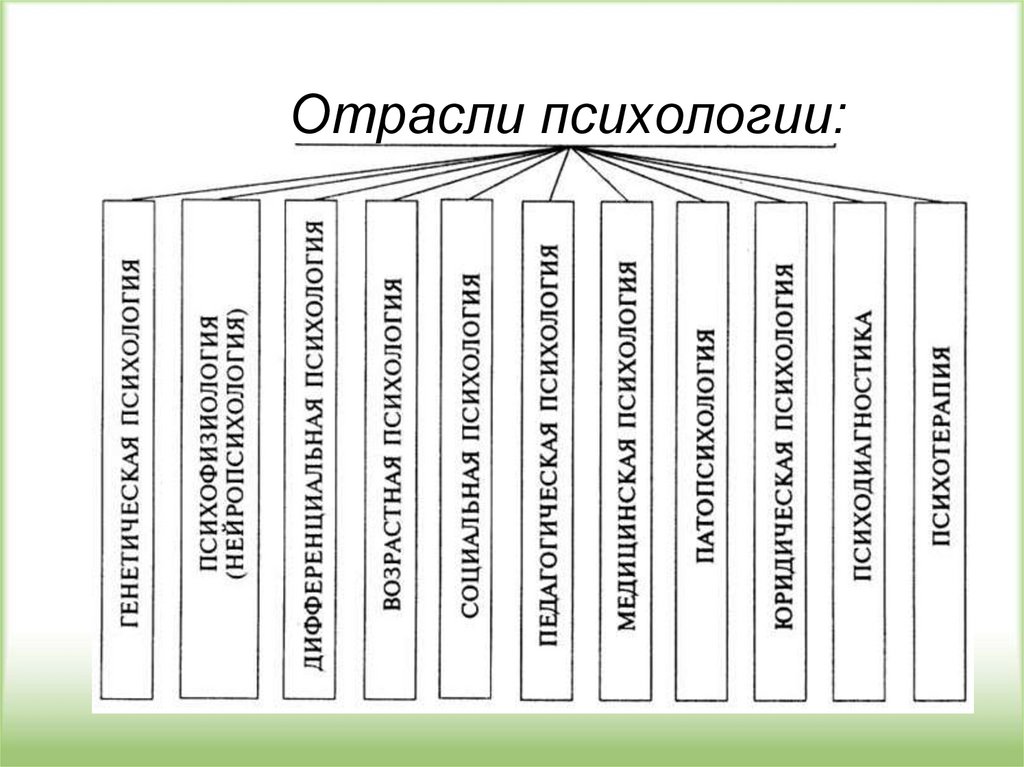 Отрасли психологии. Отрасли психологии методы психологии. Отрасли психологии кратко. Отрасли и методы психологии. Отрасли спортивной психологии.