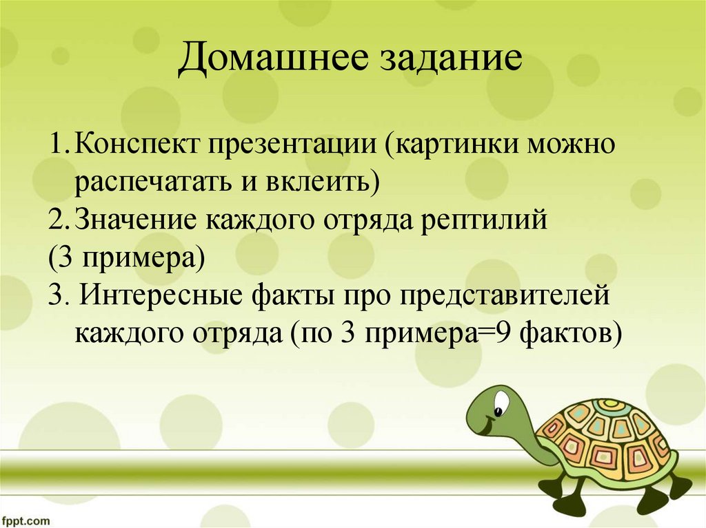 Черепахи значение в природе и жизни человека. Медленный обмен веществ у пресмыкающихся. Предварительная работа животные.