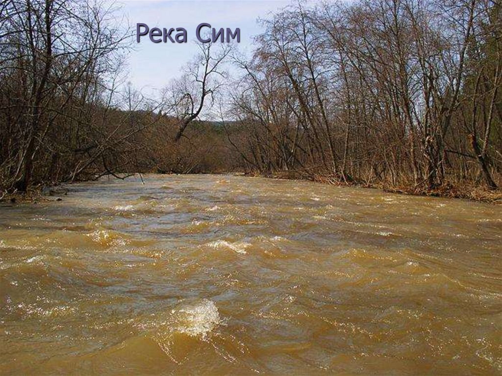 Река пояснение. Река сим. Речка сия. Сим (река) информация. Река Бишбайтал Челябинская область.