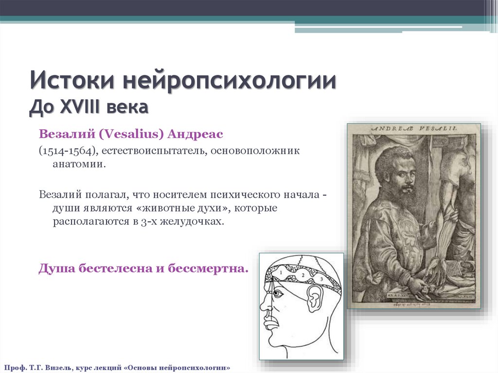 Истоки нейропсихологии До XVIII века