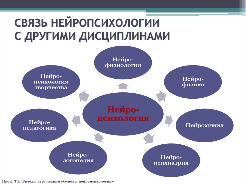 Связь нейропсихологии с другими науками схема