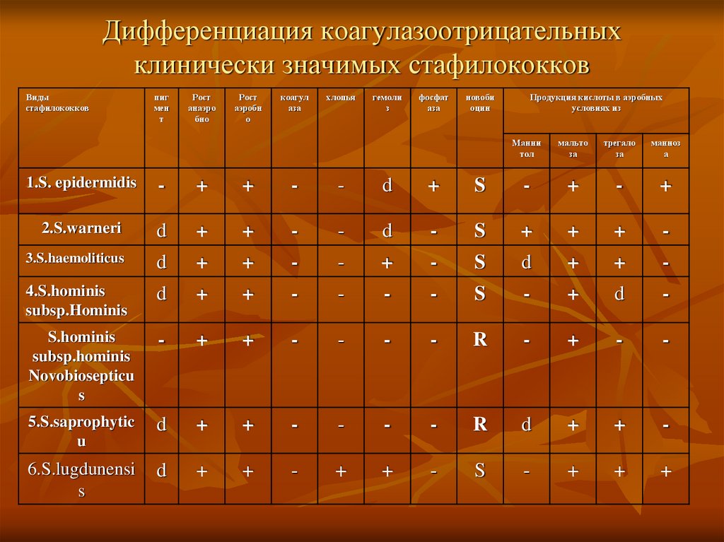 Коагулазоотрицательные стафилококки