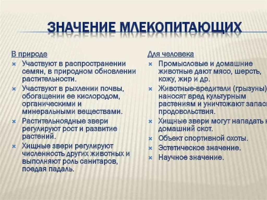 Назовите те свойства которые присущи только презентация со сценарием